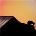 Flat Rock Playhouse Presents CAT ON A HOT TIN ROOF, 11/1