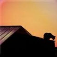 Flat Rock Playhouse Presents CAT ON A HOT TIN ROOF, 11/1