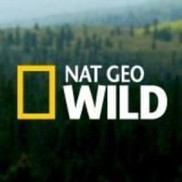 WILD AUSTRALIA to Debut 2/15 on Nat Geo WILD