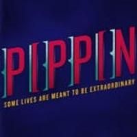 PIPPIN Announces General Rush Policy!