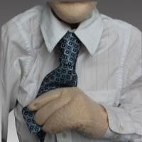 Shaun Michael McNamara to Bring All Puppet Players to Peoria, Phoenix and Mesa, Fall…