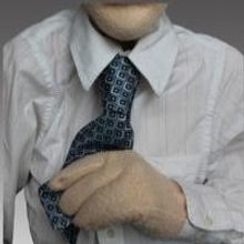 Shaun Michael McNamara to Bring All Puppet Players to Peoria, Phoenix and Mesa, Fall