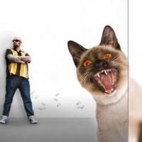 Animal Planet Premieres New Season of MY CAT FROM HELL Tonight