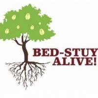 New Brooklyn Theater to Bring Week-Worth of Shows to Bed-Stuy Alive! Festival…