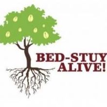New Brooklyn Theater to Bring Week-Worth of Shows to Bed-Stuy Alive! Festival…