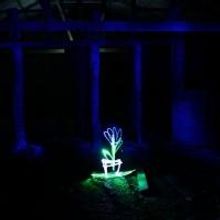 Live Lightpainting Comes to Adelaide Fringe, Now thru 12 March