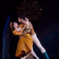 The Houston Ballet Announces the 2014-2015 Season, Which Includes A MIDSUMMER…