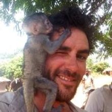 Animal Planet Presents Three-Hour Special WALKING THE NILE Tonight