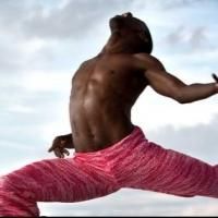 Fire Island Dance Festival 2013 Raises Record $394K for Dancers Responding to AIDS