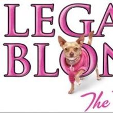 LEGALLY BLONDE Opens at the Maverick Theater Tonight