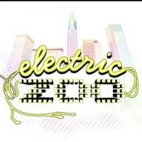 Diplo's World Record Twerk Wall Set for Electric Zoo 2013 Today