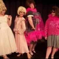SRO and CATCO's HAIRSPRAY to Play thru 3/10 at Shedd Theatre
