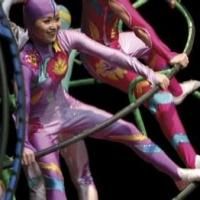 The Golden Dragon Acrobats Come to Spencer Theater Tonight