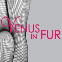 Michael Bakkensen & Nicole Rodenburg to Lead Alley Theatre's VENUS IN FUR; Cast &…