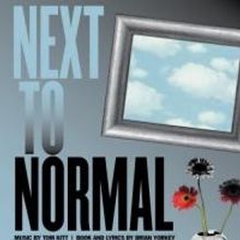 ShenanArts Presents NEXT TO NORMAL, 5/2-4 & 9-11