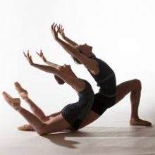 Minnesota Dance Theatre Welcomes New Board of Directors