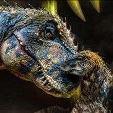 Photo Flash: First Look at Feathered Beasts in WALKING WITH DINOSAURS Arena Show
