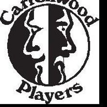 Carrollwood Players Kicks Off Summer Comedy Theater Camp Today