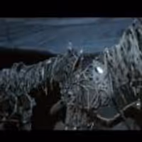 STAGE TUBE: First Look at WAR HORSE in Berlin Video