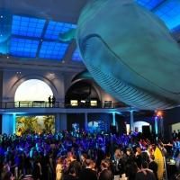 American Museum of Natural History Hosts 2014 Museum Dance, STAR STUDDED!, Tonight