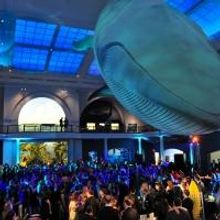 American Museum of Natural History Hosts 2014 Museum Dance, STAR STUDDED!, Tonight