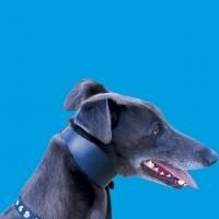 Tony Cleaver Releases New Book, GREYHOUND GEORGE