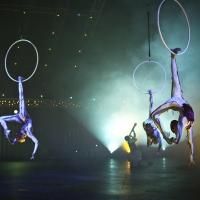 CIRQUE DU SOLEIL'S QUIDAM Announces Extra 2014 Dates!