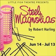 BWW Reviews: An Eclectic Group of Ladies Share Their Joys and Sorrows in STEEL MAGNOL