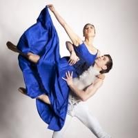 Diablo Ballet to Bring THE BLUE BOY, WEB BALLET and More to Hillbarn Theatre, 4/12-13