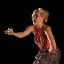 'Fall Frolic' Wine Tasting Benefit Supports Dance Entropy and Green Space Programs…