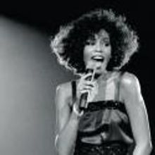 Michael Jackson, Whitney Houston Among New Titles From Insight Editions