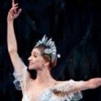 BWW Reviews: Houston Ballet's THE NUTCRACKER is Opulent, Charming & Magical Photo