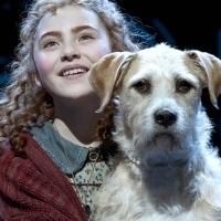 THIRTEEN to Bring Broadway's ANNIE to NYC Classrooms as Part of Education Initiative