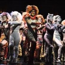 Photo Flash: First Look - CATS Opens Tonight at Beef & Boards Dinner Theatre