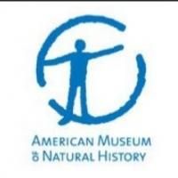 OCEAN EATS, REEFS ILLUMINATED and More Set for AMNH's 2013 Milstein Science Series