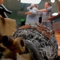 BWW Reviews: Green ZooTheatre's A NIGHT AT THE ZOO: AN EVENING OF ONE-ACTS Gets…