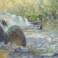 Blue Mountain Gallery Opens Anne Diggory's BIOCULAR Today