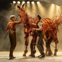 BWW Reviews: WAR HORSE - A Visually Stimulating Unique Experience