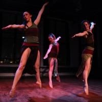 Dance Entropy Presents 2014 GREEN SPACE BLOOMS Festival, Now thru 4/13