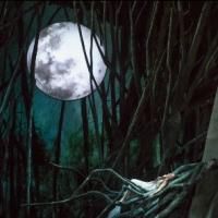 Lyric Opera of Chicago's RUSALKA to Open This Weekend