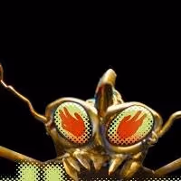 BEDBUGS!!! Extends Run Off-Broadway