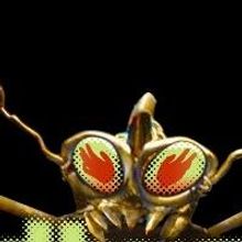 BEDBUGS!!! Extends Run Off-Broadway