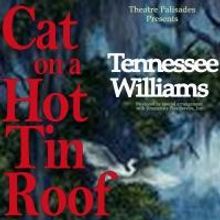 BWW Reviews: CAT ON A HOT TIN ROOF Presented With Tennessee Williams Original Script 
