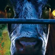 Molloy College Holds Special Screening of COWSPIRACY