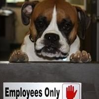 Pet Sitters International (PSI) Encourages Businesses to Start Planning Now for 2014…
