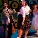 HAIRSPRAY Continues at the Media Theatre Through November 4
