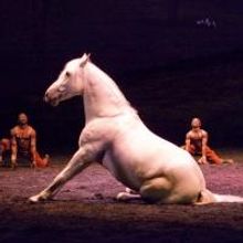 Cavalia's ODYSSEO Adds Week of Shows thru April 21