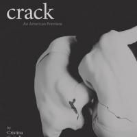 swissnexBoston Presents CRACK: An English-Language Premiere, 10/29