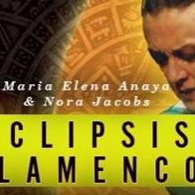 Dixon Place Premieres ECLIPSIS FLAMENCO, REFLECTIONS ON IDENTITY Exhibition Tonight