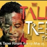 Daniel Beaty's THE TALLEST TREE IN THE FOREST to Play CTG's Mark Taper Forum…